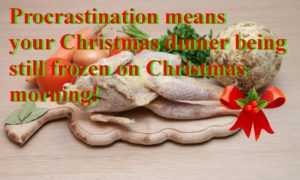 http://procrastinationmeans.com/frozen-christmas/